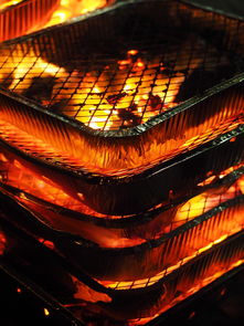 森林狼主场布景焕然一新增强品牌识别度，森林狼logo